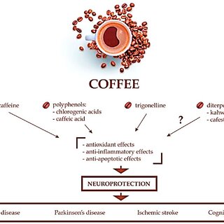 Diagram showing anti-aging compounds in coffee